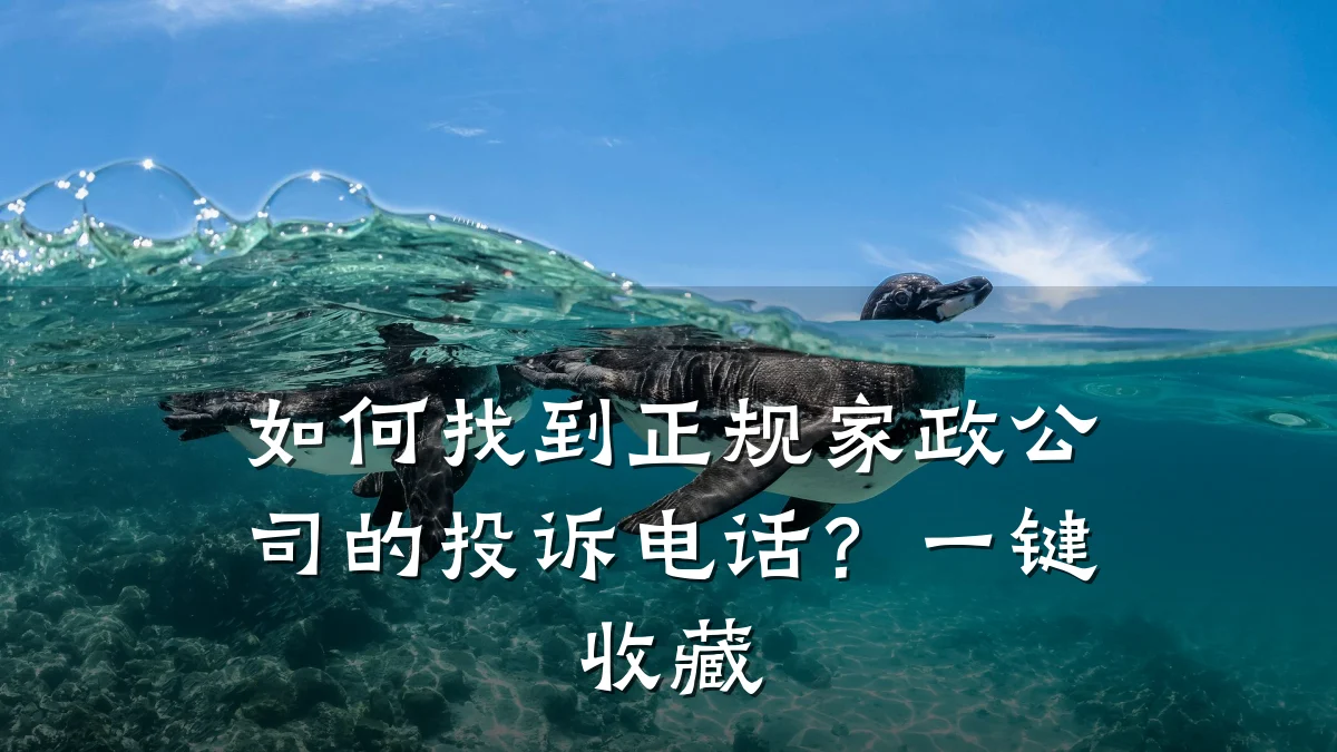 如何找到正规家政公司的投诉电话?一键收藏