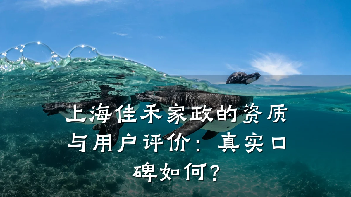 上海佳禾家政的资质与用户评价：真实口碑如何？