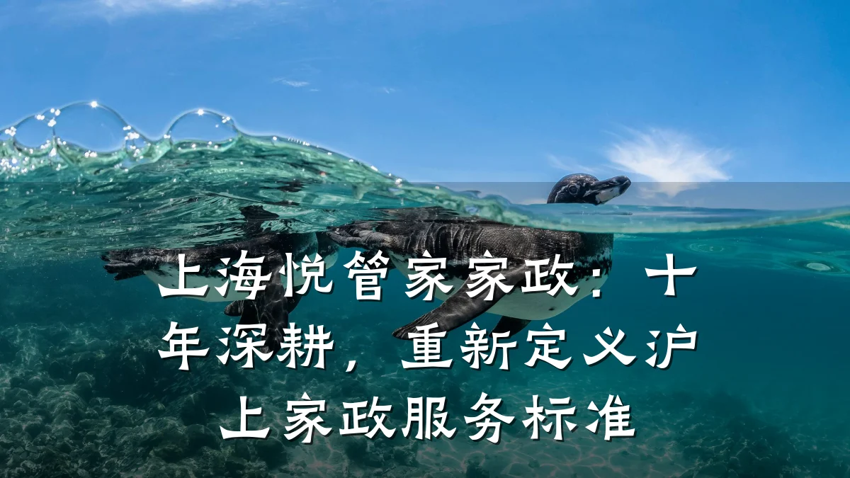 上海悦管家家政:十年深耕,重新定义沪上家政服务标准