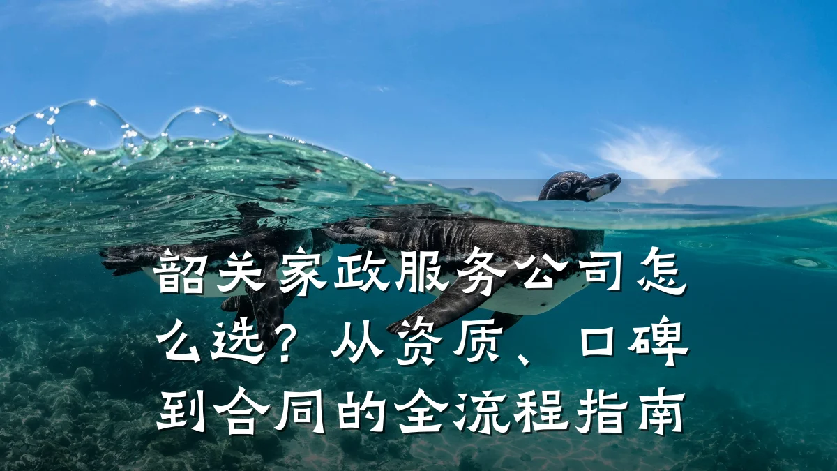 韶关家政服务公司怎么选?从资质、口碑到合同的全流程指南