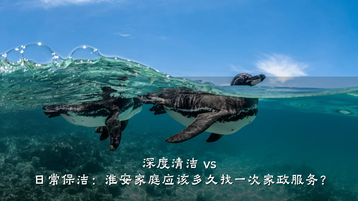 深度清洁 vs 日常保洁:淮安家庭应该多久找一次家政服务?