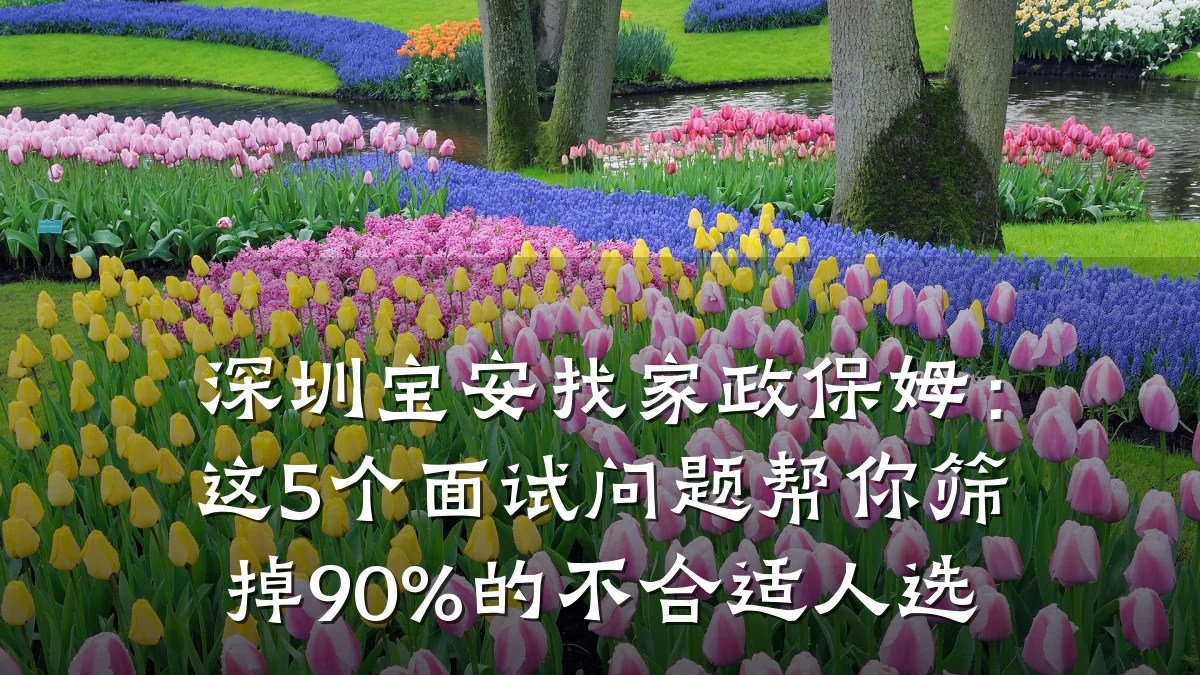 深圳宝安找家政保姆:这5个面试问题帮你筛掉90%的不合适人选