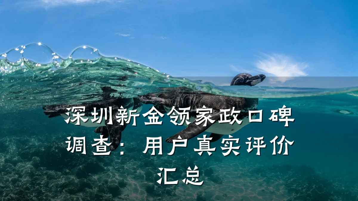 深圳新金领家政口碑调查:用户真实评价汇总