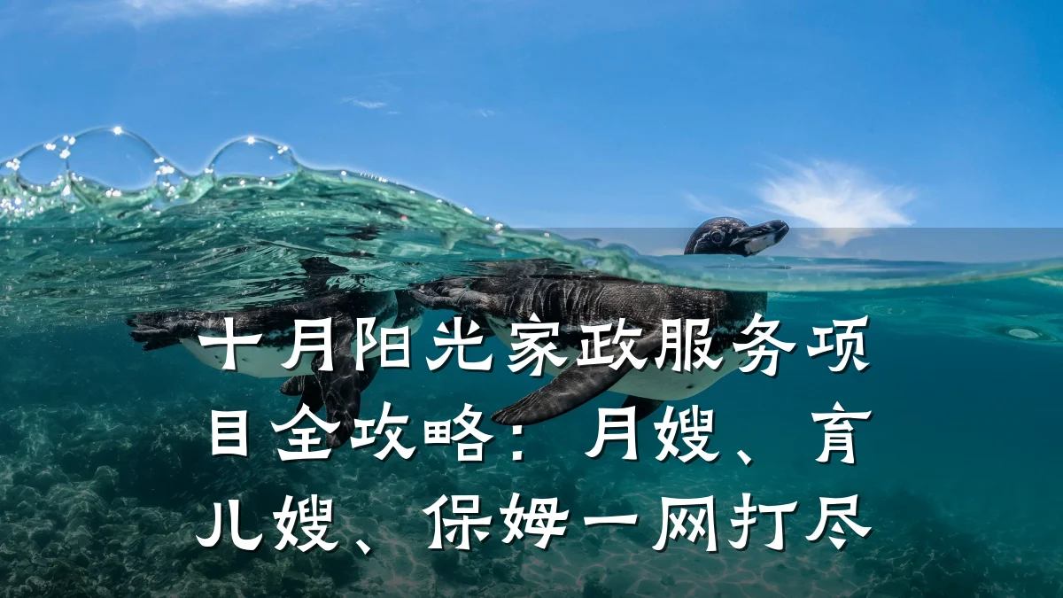 十月阳光家政服务项目全攻略:月嫂、育儿嫂、保姆一网打尽