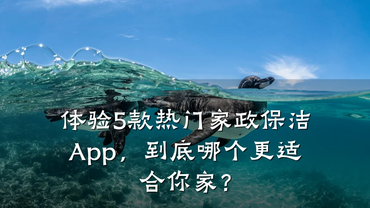 体验5款热门家政保洁App,到底哪个更适合你家?