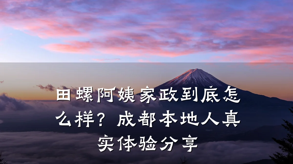 田螺阿姨家政到底怎么样?成都本地人真实体验分享