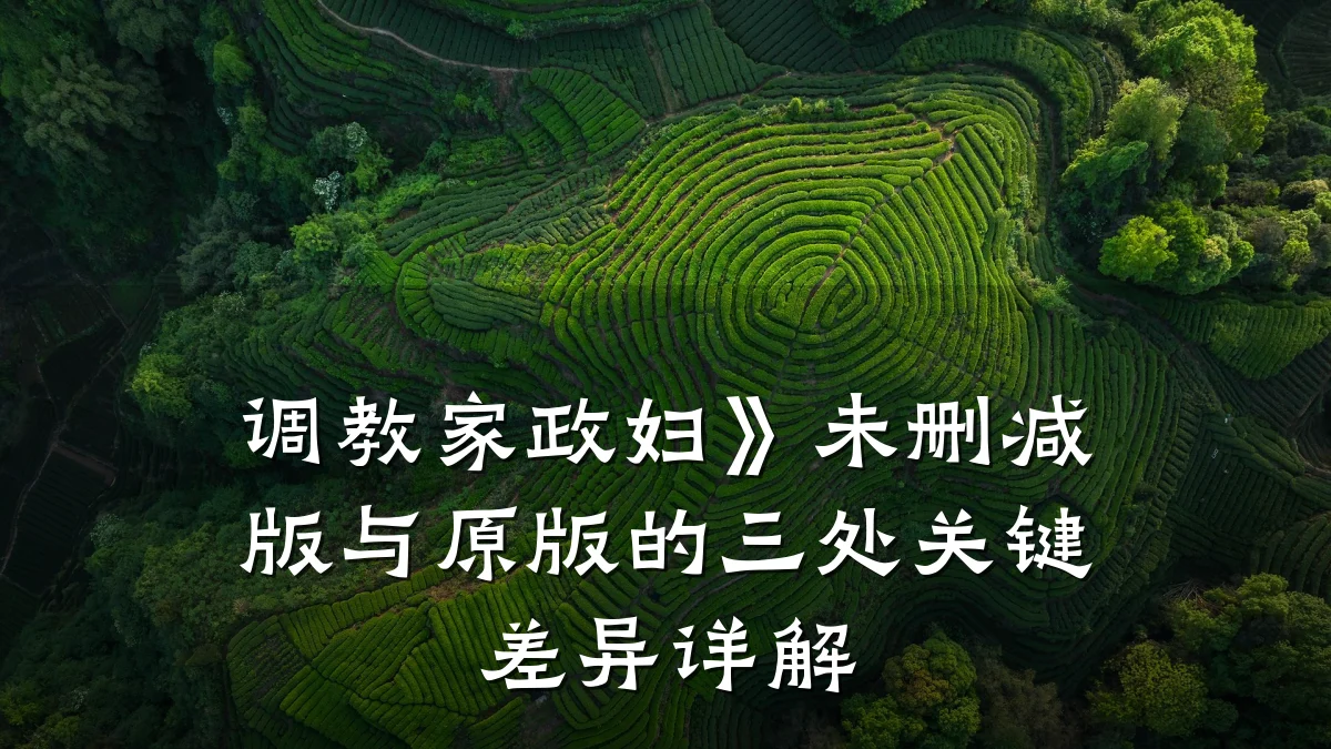 调教家政妇》未删减版与原版的三处关键差异详解
