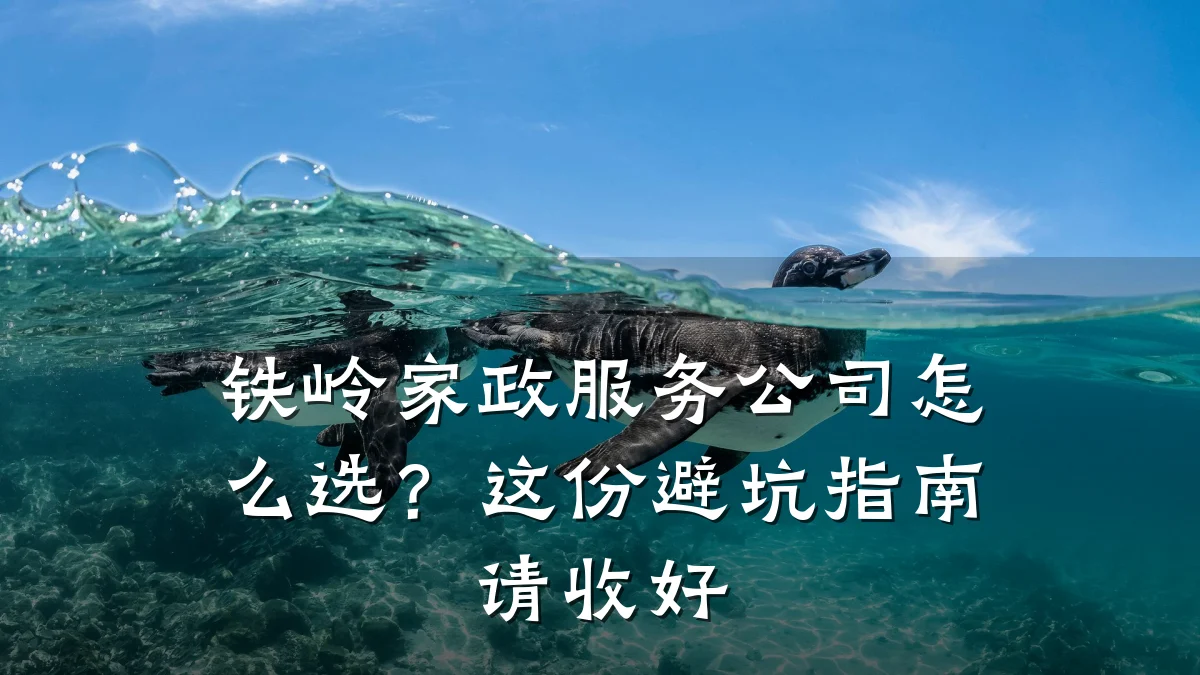 铁岭家政服务公司怎么选?这份避坑指南请收好