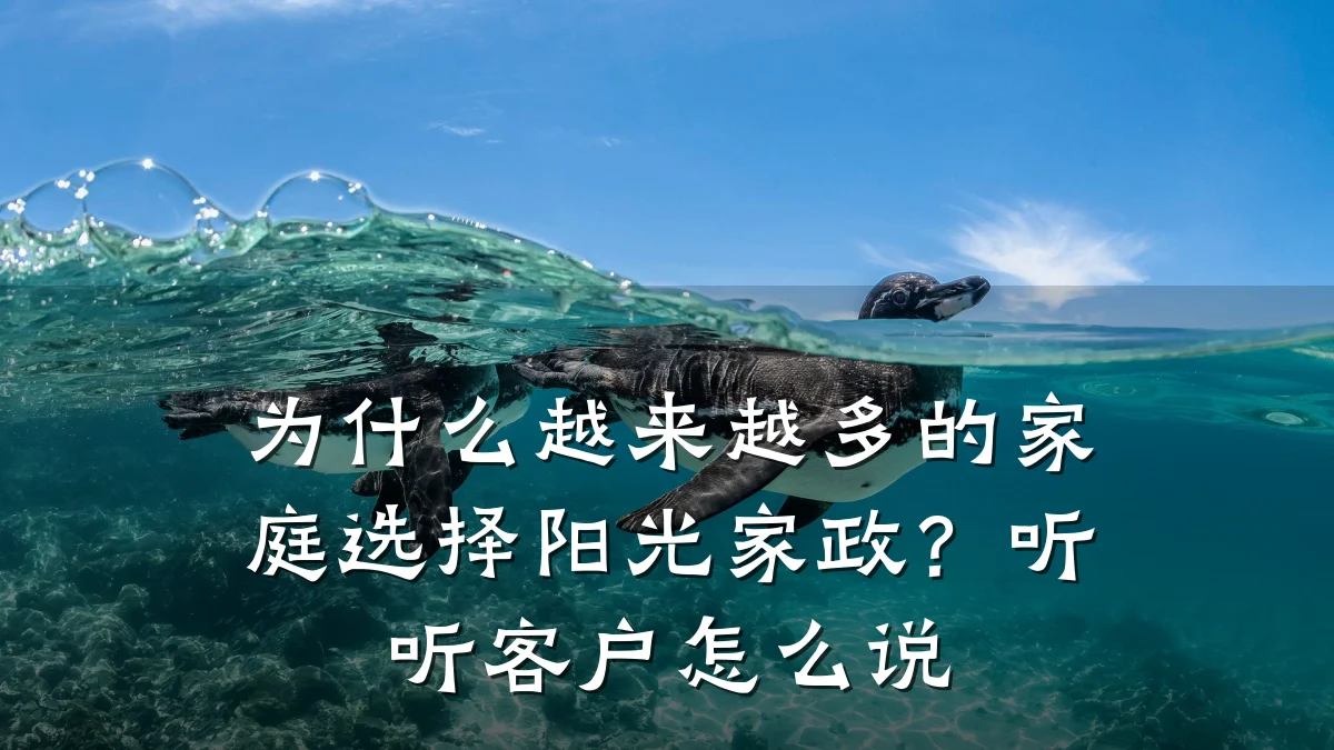 为什么越来越多的家庭选择阳光家政?听听客户怎么说