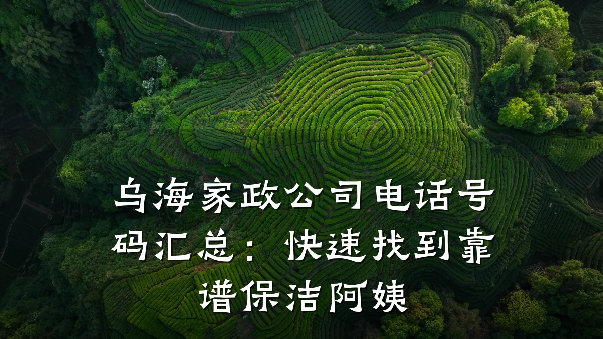 乌海家政公司电话号码汇总：快速找到靠谱保洁阿姨