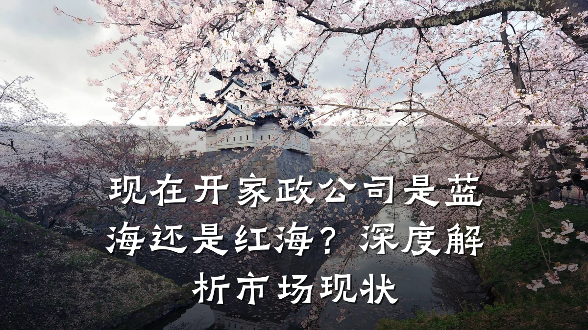 现在开家政公司是蓝海还是红海?深度解析市场现状