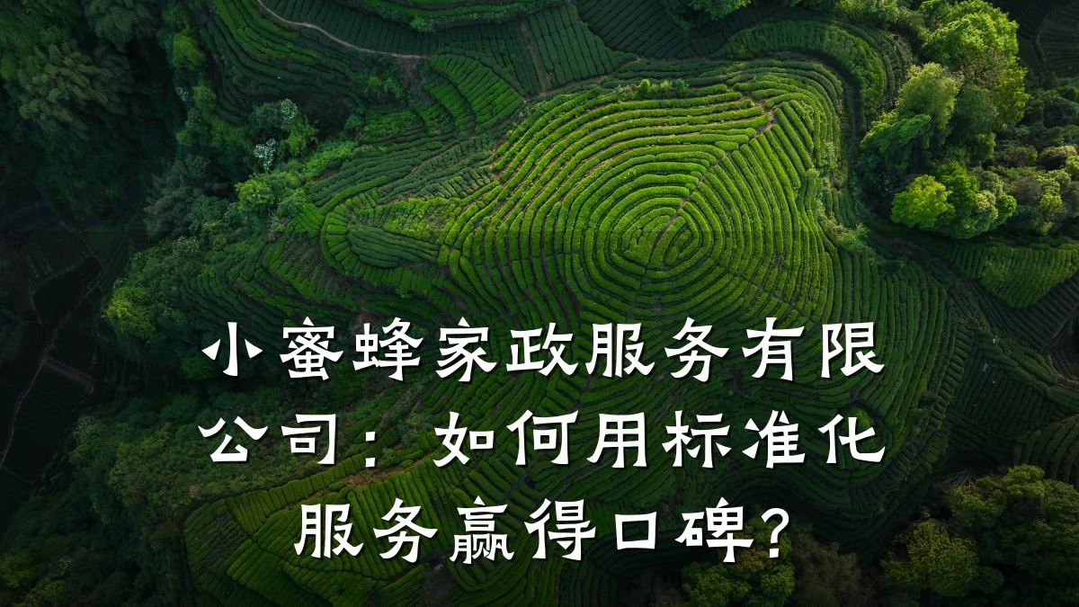 小蜜蜂家政服务有限公司:如何用标准化服务赢得口碑?