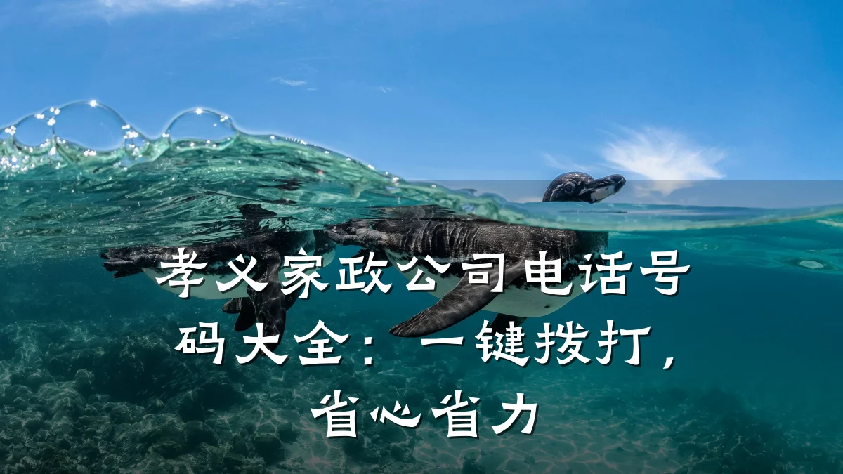 孝义家政公司电话号码大全:一键拨打,省心省力
