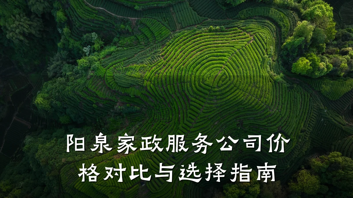阳泉家政服务公司价格对比与选择指南