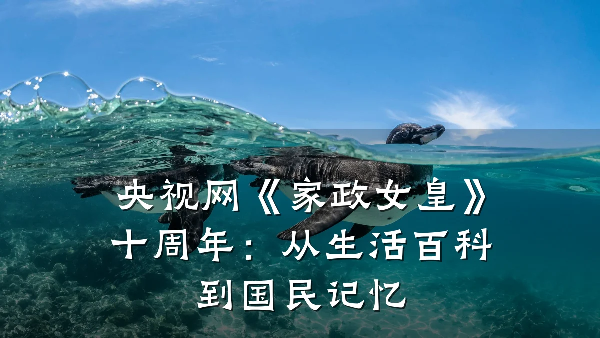 央视网《家政女皇》十周年:从生活百科到国民记忆