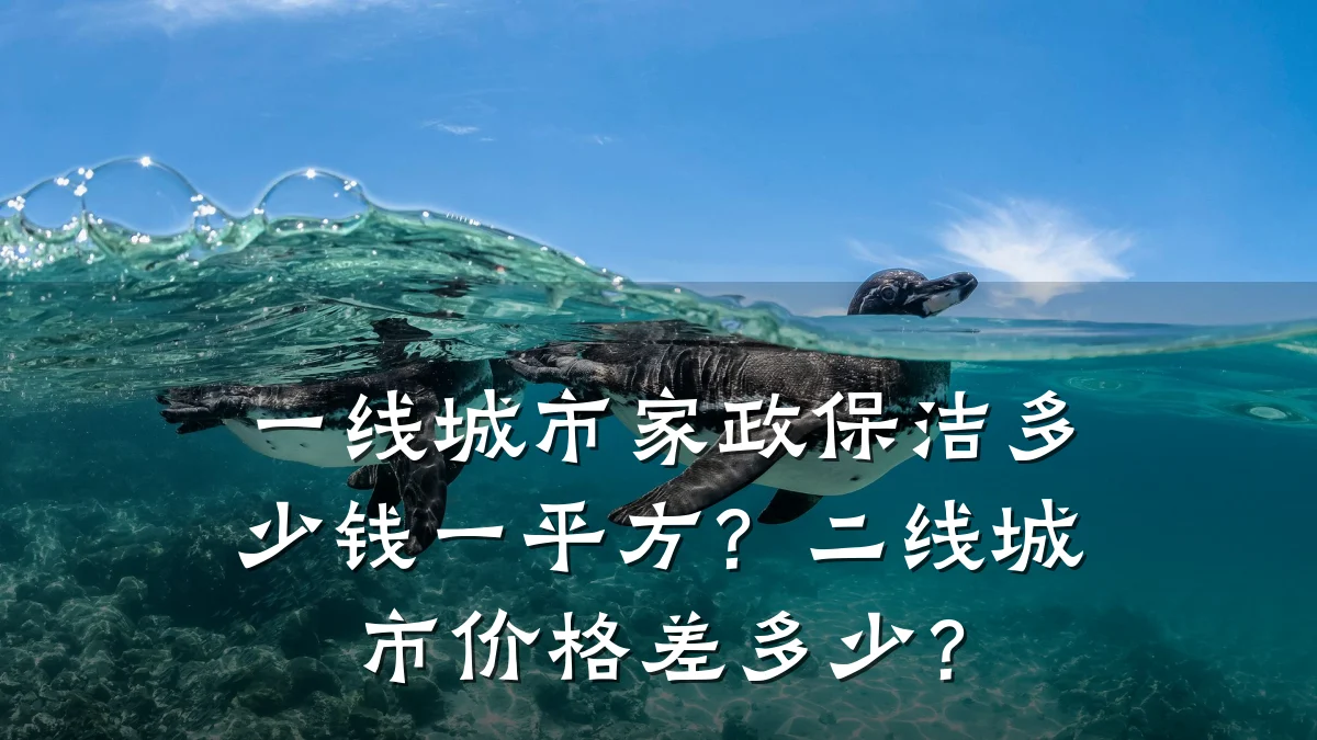 一线城市家政保洁多少钱一平方？二线城市价格差多少？
