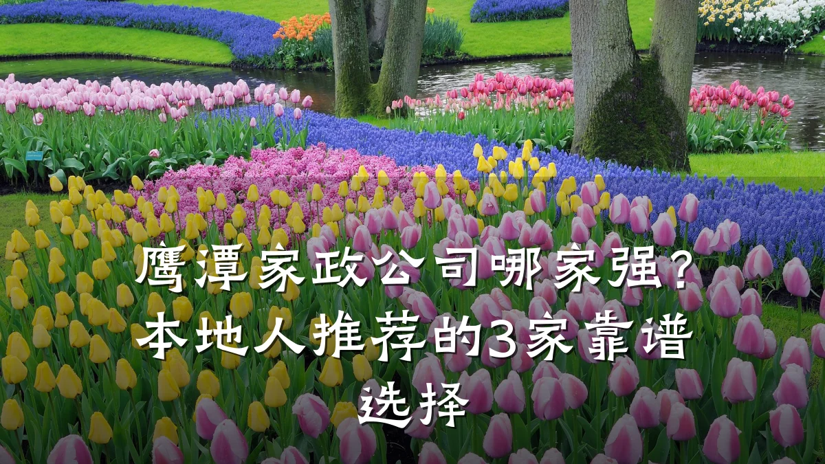 鹰潭家政公司哪家强?本地人推荐的3家靠谱选择