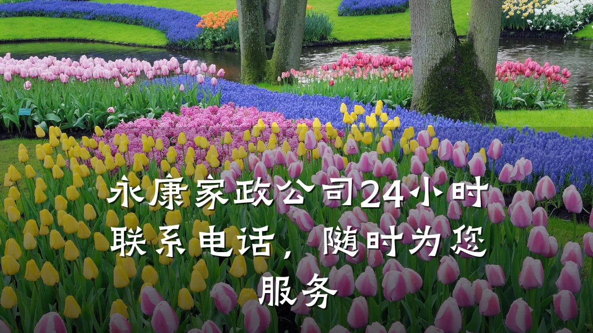 永康家政公司24小时联系电话,随时为您服务
