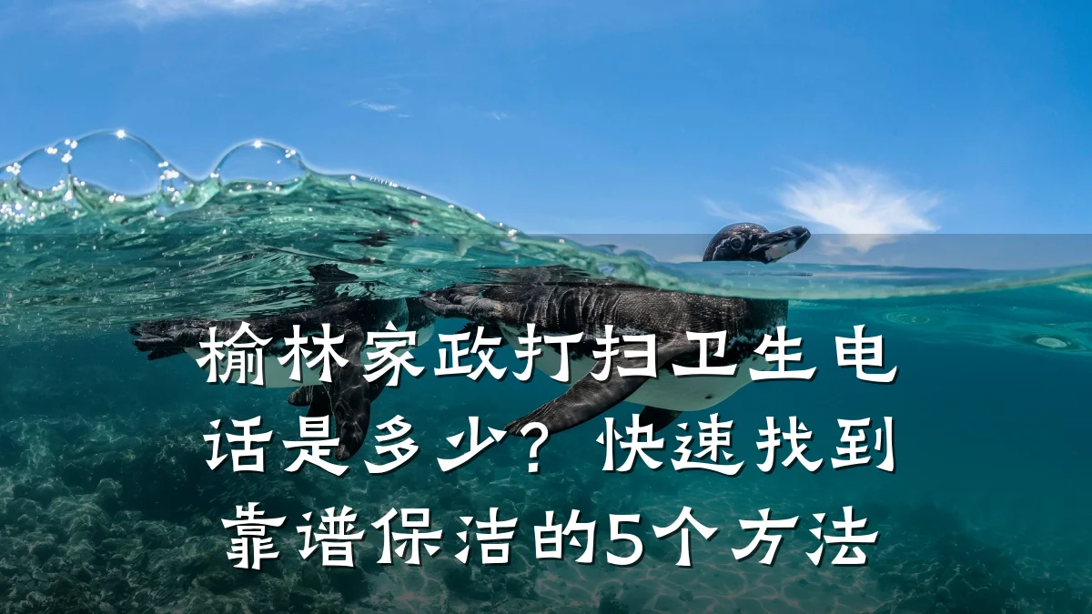 榆林家政打扫卫生电话是多少？快速找到靠谱保洁的5个方法