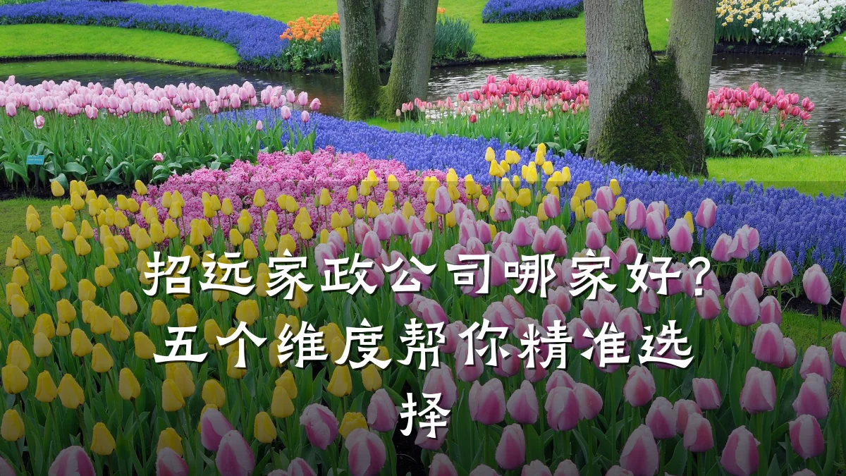 招远家政公司哪家好?五个维度帮你精准选择