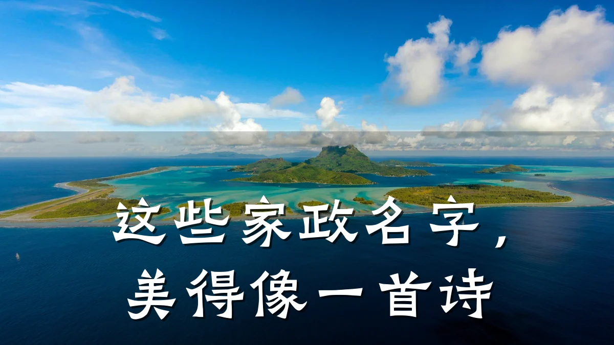 这些家政名字，美得像一首诗
