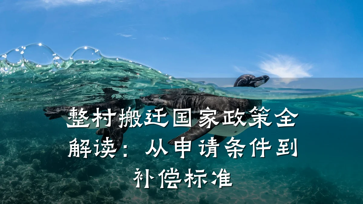 整村搬迁国家政策全解读：从申请条件到补偿标准