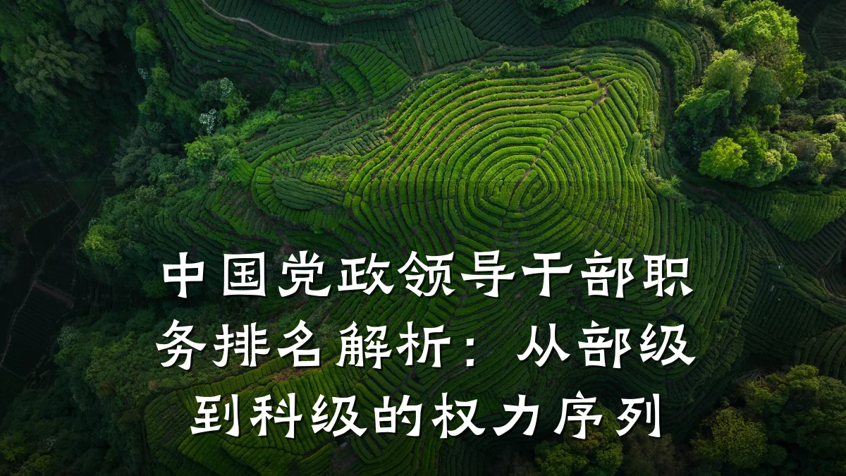 中国党政领导干部职务排名解析：从部级到科级的权力序列