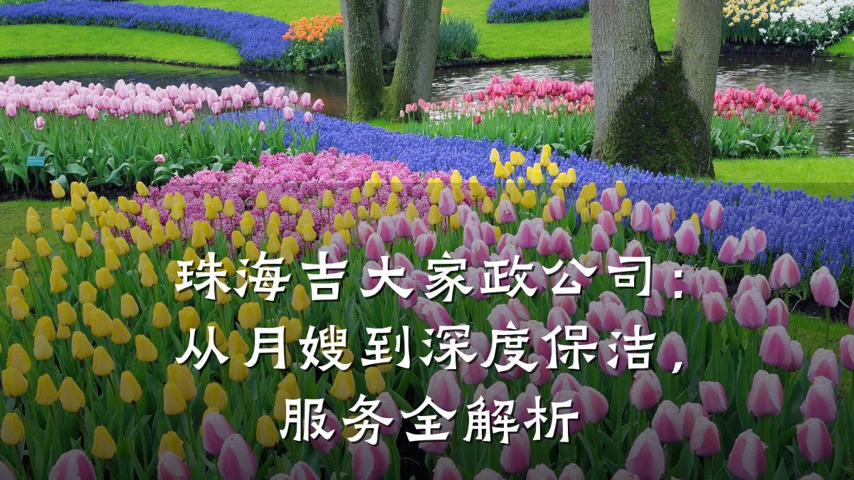 珠海吉大家政公司:从月嫂到深度保洁,服务全解析