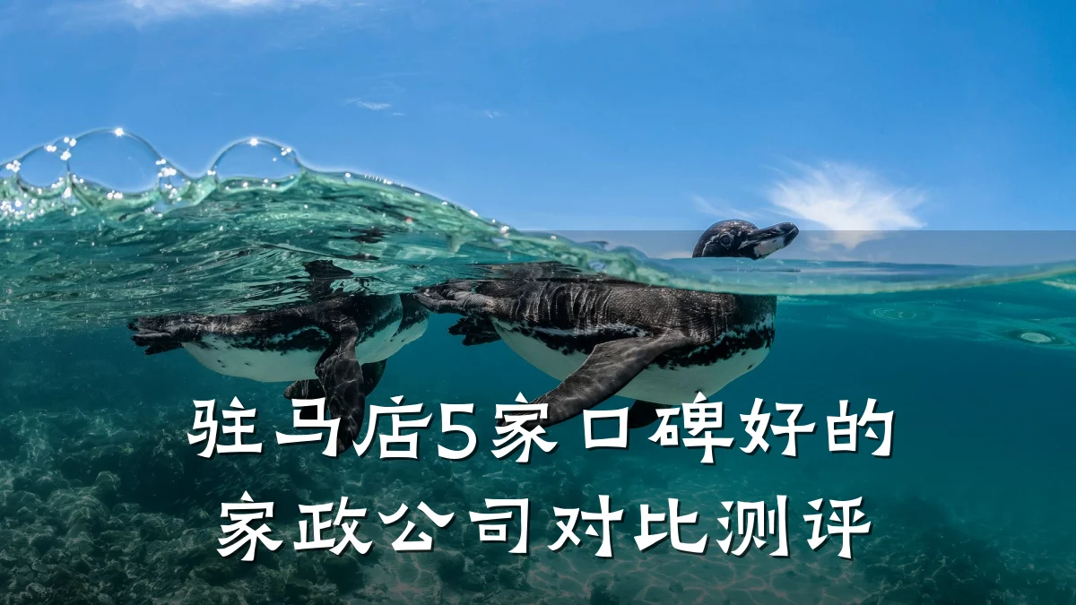 驻马店5家口碑好的家政公司对比测评