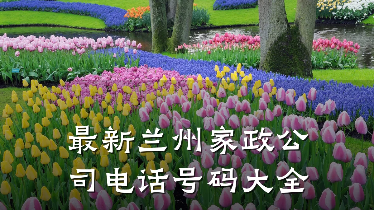 最新兰州家政公司电话号码大全