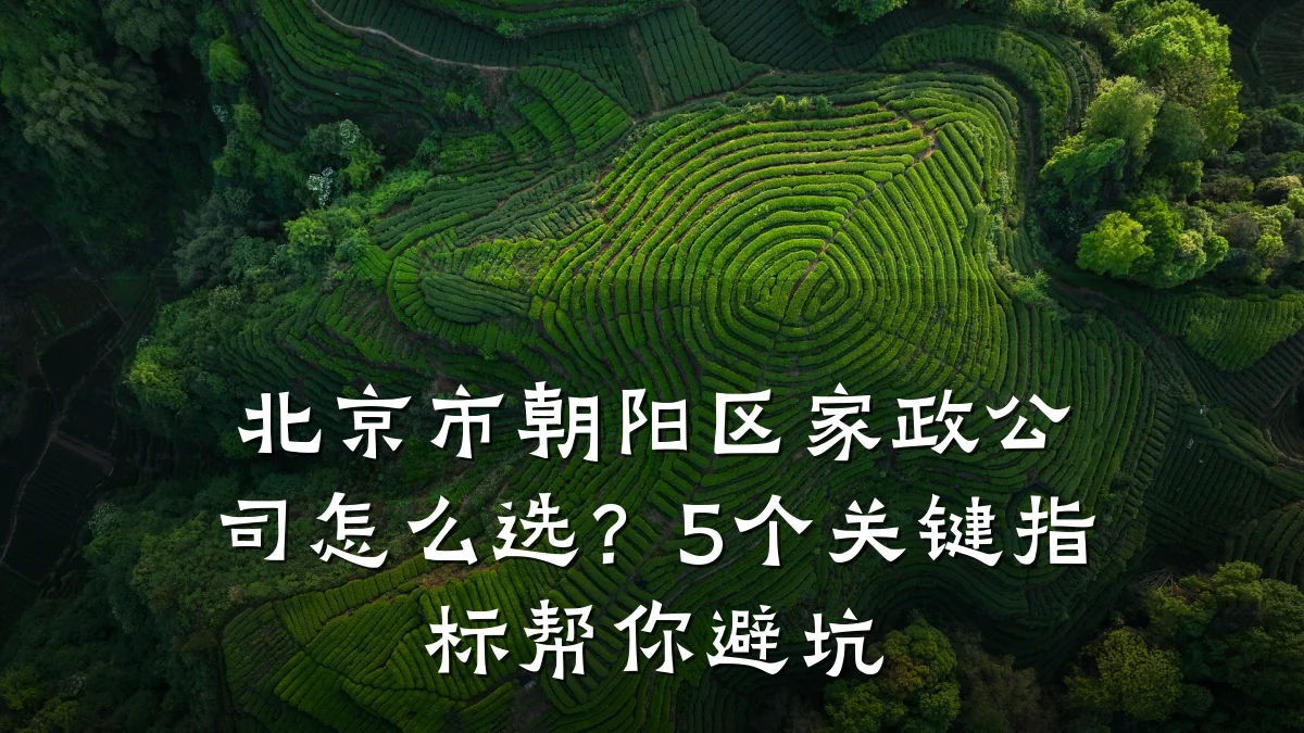 北京市朝阳区家政公司怎么选？5个关键指标帮你避坑