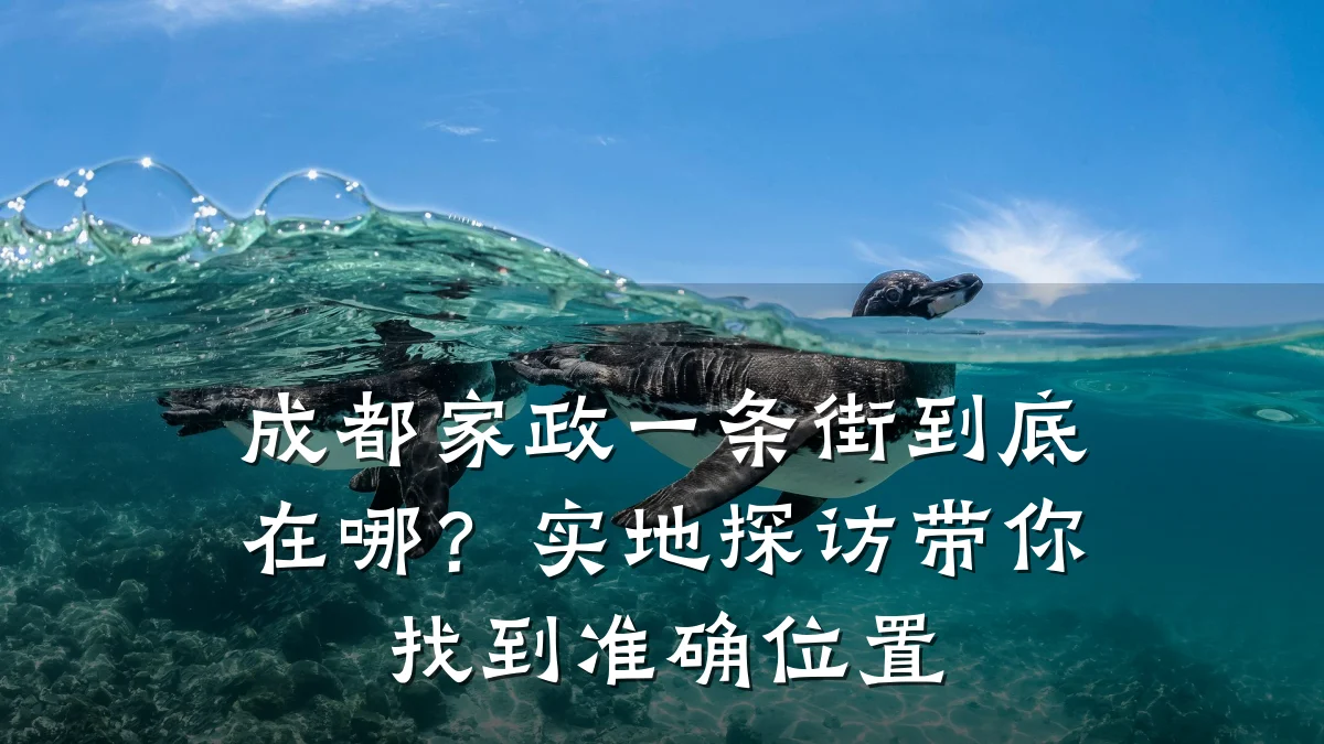 成都家政一条街到底在哪？实地探访带你找到准确位置