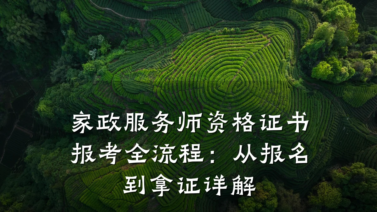 家政服务师资格证书报考全流程:从报名到拿证详解