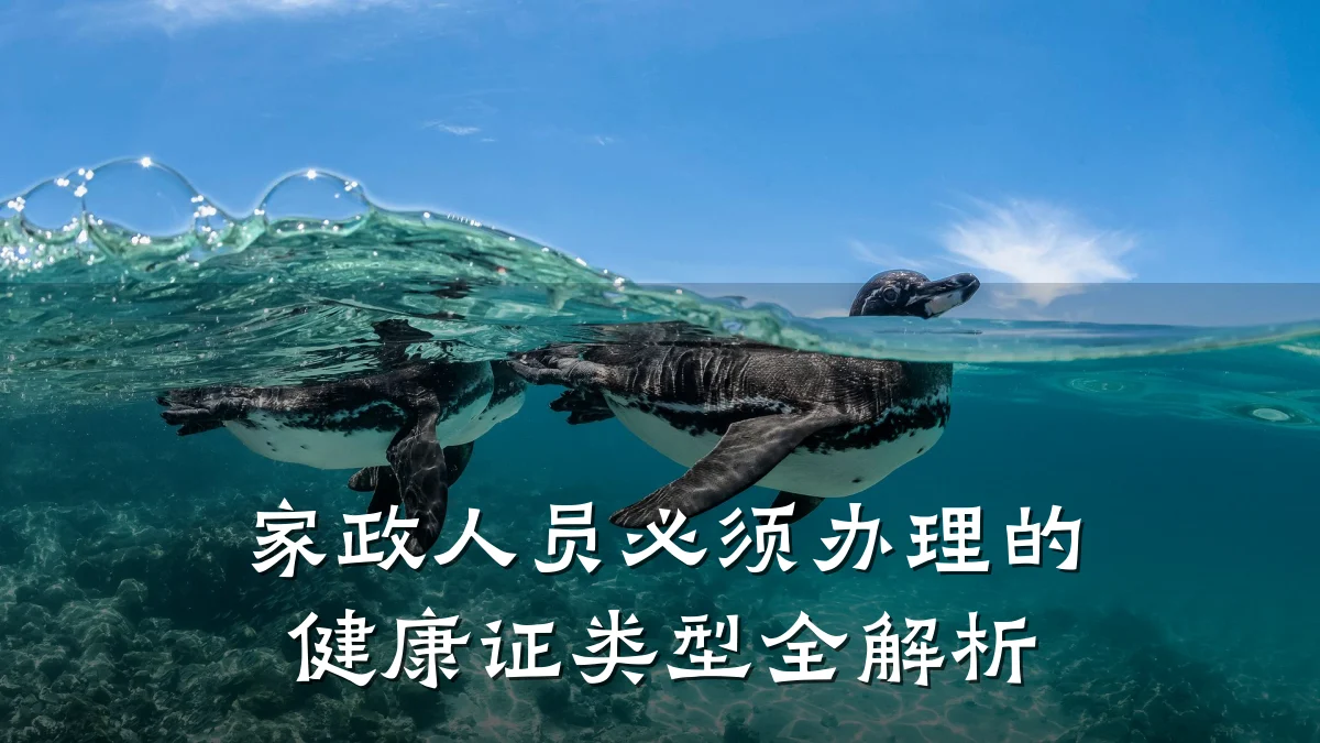 家政人员必须办理的健康证类型全解析