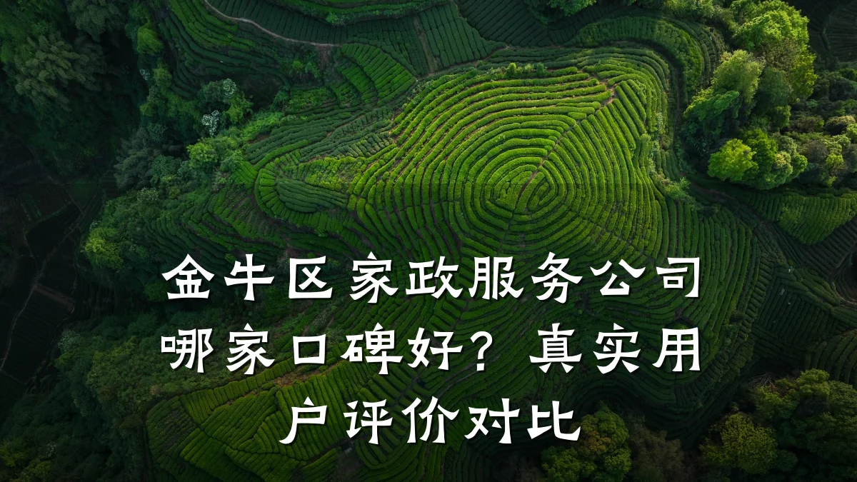 金牛区家政服务公司哪家口碑好?真实用户评价对比