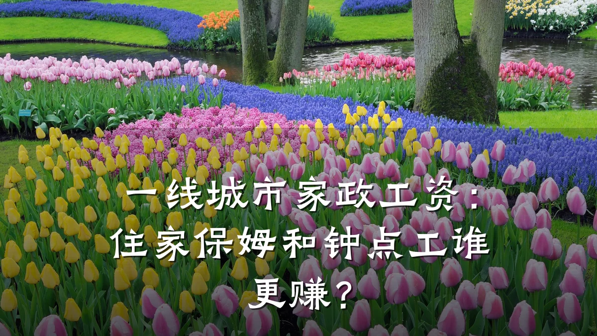 一线城市家政工资:住家保姆和钟点工谁更赚?
