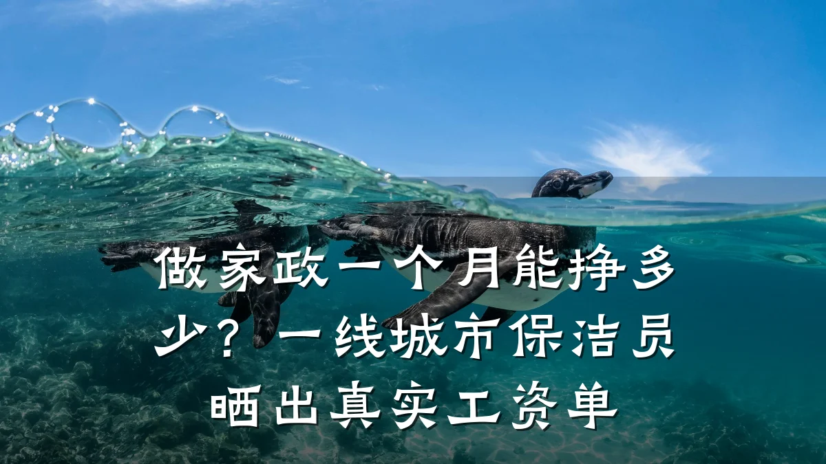 做家政一个月能挣多少？一线城市保洁员晒出真实工资单
