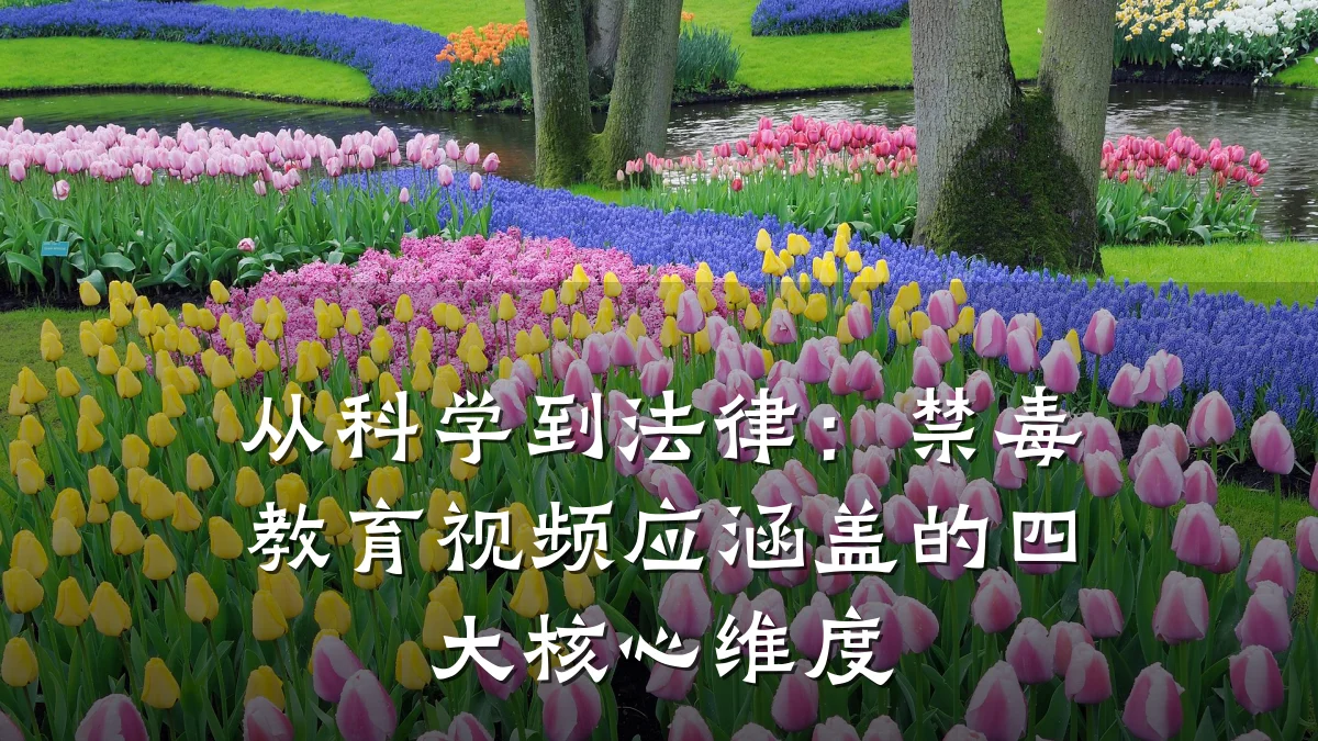 从科学到法律:禁毒教育视频应涵盖的四大核心维度