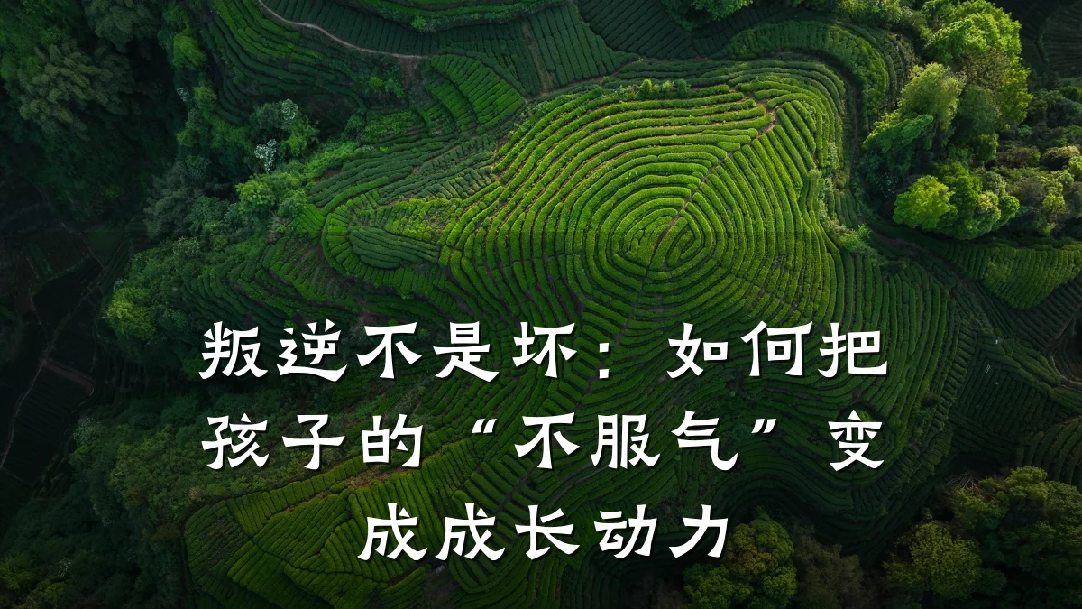 叛逆不是坏:如何把孩子的“不服气”变成成长动力