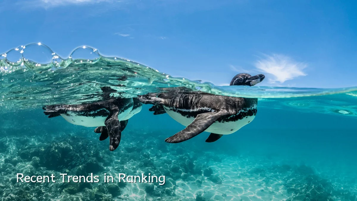 Recent Trends in Ranking
